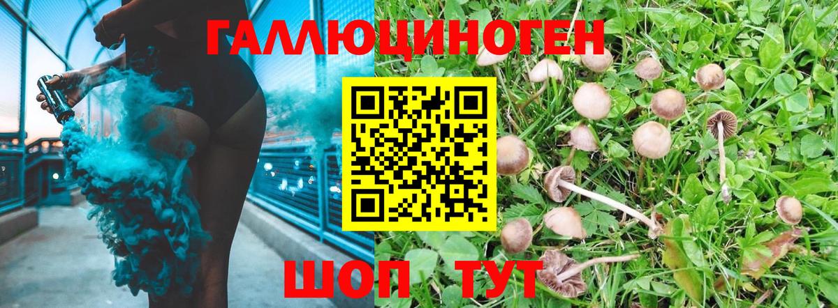 Псилоцибиновые грибы Cubensis Саранск
