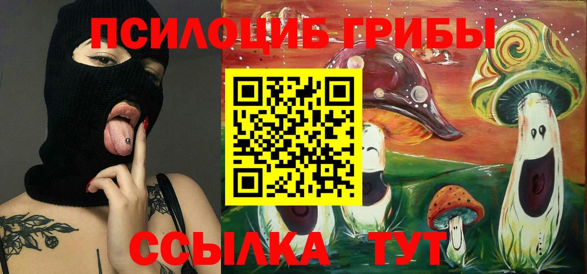 Галлюциногенные грибы Psilocybe  Вход с VPN  Саранск  Галлюциногенные грибы MAGIC MUSHROOMS 