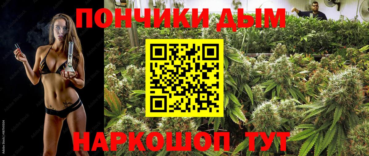 Шишки марихуана индика  Вход с VPN  Шишки марихуана White Widow  Марихуана сатива  Конопля конопля  Саранск 